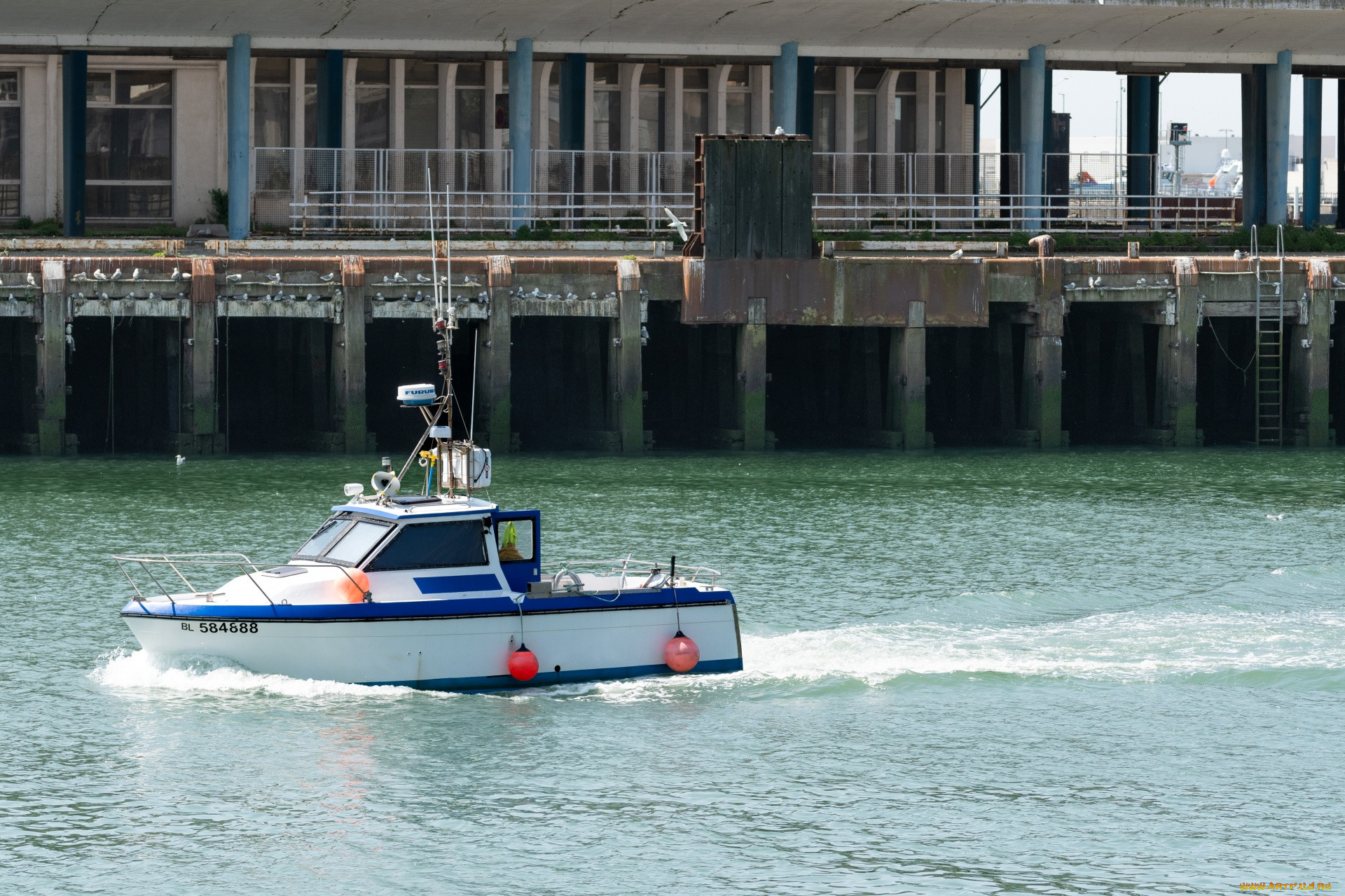 fishing pleasure boat, , , fishing, pleasure, boat